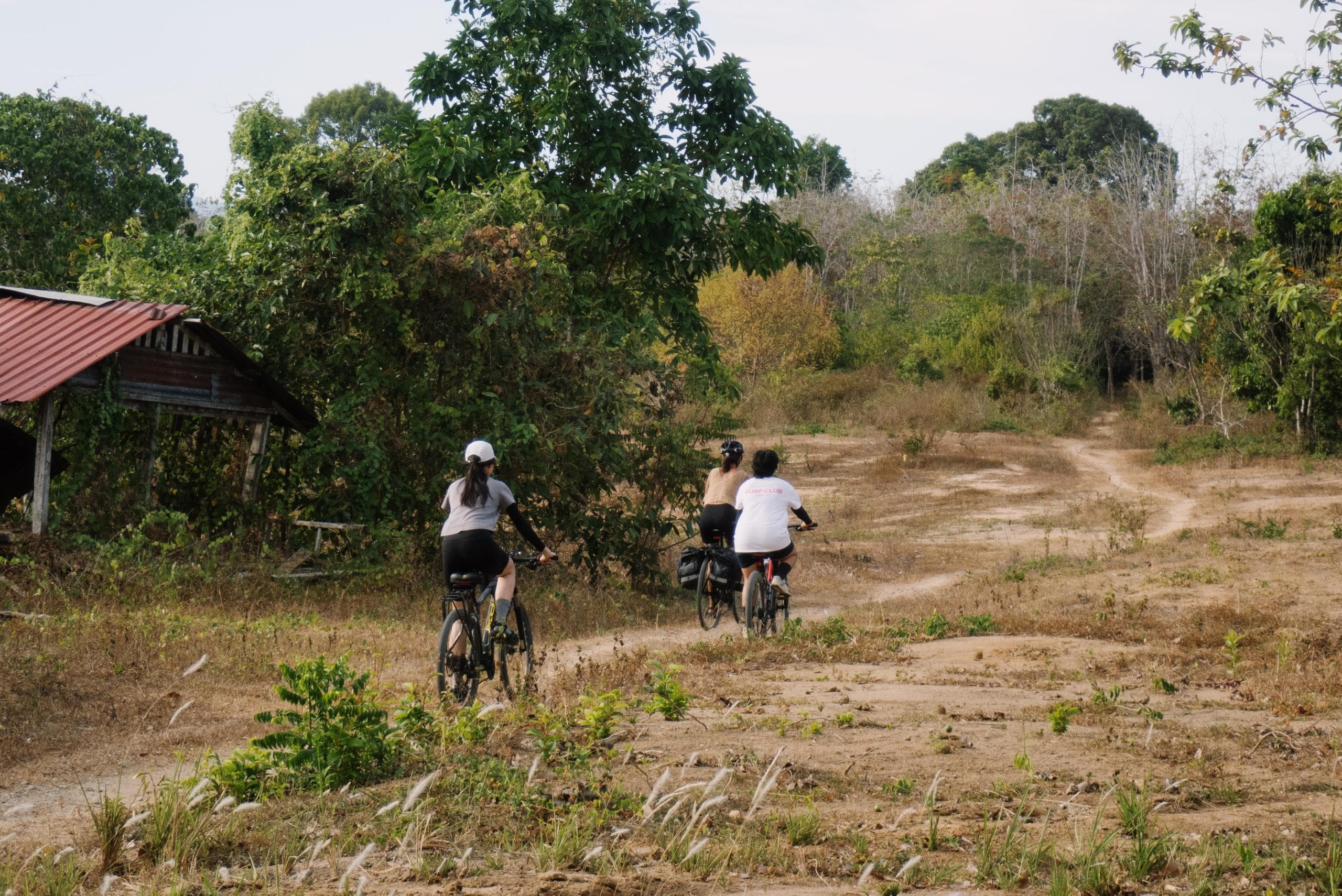 Paddy fields and backroads by bike — by Bicycle Day Langkawi