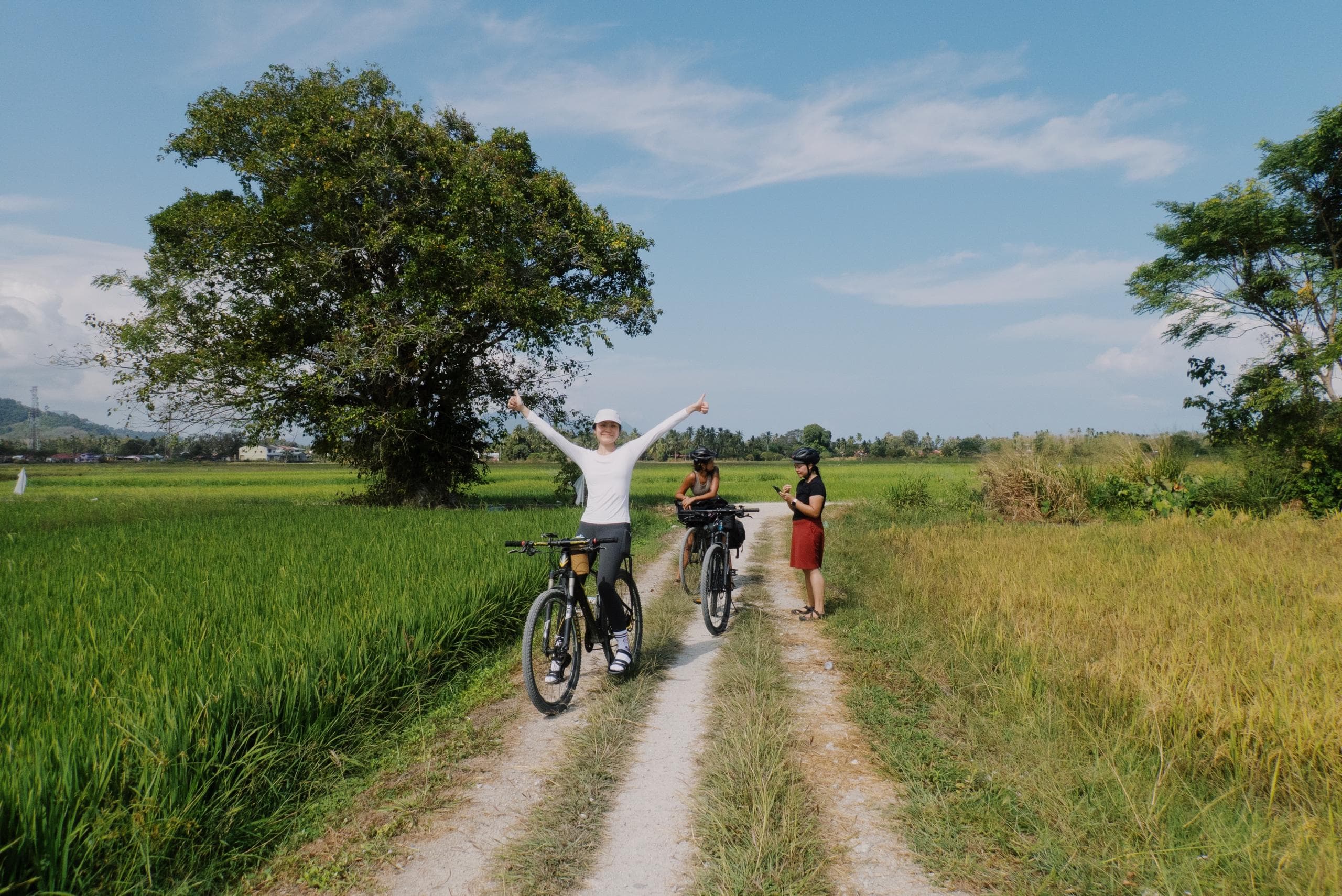 Paddy fields and backroads by bike, photo 2